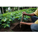 El Salvador Apaneca - Wet Process - Green Coffee Beans