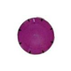 Pentair Kwik-Change Lens Cover | Purple | 650016