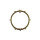 Pentair Brass Plaster Mounting Ring for Concrete Spa Light Niches | 79203200 | 79203200Z