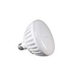 J&J Electronics PureWhite Pro LED Pool Lamp with Pentair Gasket | 12V | LPL-PR-WHT-12