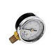Waterco Pressure Gauge 0-60 PSI | 30B3000