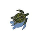 Ceramic Mosaic Green Sea Turtle with Shadow | 12" x 12" | GT7-10/SH