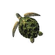 Porcelain Mosaic Sea Turtle Green | 10"x10" | PORC-GT3-10