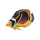 Porcelain Mosaic Reef Fish | Raccoon Butterfly | PORC-BF23-5