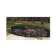 21' Round Above Ground Pool Leaf Guard | LN24A
