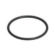 Hayward Diffuser O-Ring | SPX4000Z1
