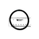 Pentair Challenger Pinnacle SuperFlo SuperMax Diffuser O-ring Diffuser Seal | 355030 355030Z