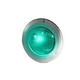 Hayward ColorLogic 4.0 Pool Light Stainless Steel Face Rim | LED 120V 100 ft Cord | W3SP0527SLED100