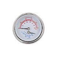 Pentair PowerMax Temperature-Pressure Gauge | RA0079000