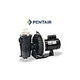 Pentair Waterfall Energy Efficient Pool Pump without Strainer 115-230V AF-75 | 340300