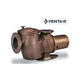 Pentair C-Series 5HP Standard Efficiency Single Phase Commercial Bronze Pump with Strainer | 200-208V | CH-50 | 347939