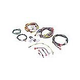 Raypak Wire Harness 207-407 | 010347F
