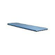 SR Smith 10ft Frontier III Commercial Diving Board Marine Blue with Matching Tread | 66-209-610S3T