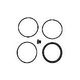 Zodiac O-Ring Kit CJ200/CJ250 | R0558300