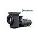 Pentair EQK750 Series 7.5HP Nema Premium Efficiency 3-Phase Pool Pump with Strainer 208-230-460V  | 340033