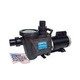 Waterway Champion 56 Frame 3HP Standard Efficiency Maximum Rated Pool Pump 230V | CHAMPS-130