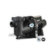 AquaPro Variable Speed APEX Pool Pump | 1HP 208-230V | APEXVS1
