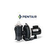 Pentair Challenger High Pressure Energy Efficient Pool Pump | Single Speed | 115/230V 0.5HP Full Rated | 345212