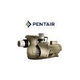 Pentair WhisperFloXF Energy Efficient Pool Pump | 2 Speed | 208/230V 2.5HP Up Rated | XFDS-30 | 022026