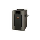 Raypak Digital Propane Gas Pool Heater 206k BTU | Electronic Ignition | High Altitude #58 2000-3000 Feet | P-R206A-EP-C 009228 P-M206A-EP-C 009978