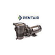 Pentair OptiFlo 1HP Vertical Above Ground Pool Pump with 3' Standard Cord 115V | EC-348196
