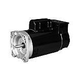 Replacement Square Flange Pool Motor 1HP | 230V 56 Frame Full-Rated | Two Speed with Timer B2982T | EB2982T