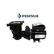 Pentair OptiFlo 1HP Horizontal Above Ground Pool Pump with 3' Standard Cord 115V | EC-348200