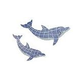 AquaStar Swim Designs Dolphin Pre-Filled Frames Set | 1 Medium 1 Large | F2029-01
