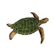 Artistry In Mosaics Sea Turtle Natural Mosaic | Large - 23" x 30" | SEANATRL