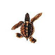 Porcelain Mosaic Turtle Brown | Baby B 5"x5" | PORC-ST21B-BR