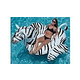 Swimline Giant Zebra Inflatable Ride-on Pool Toy | NT294
