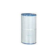 Custom molded Replacement 50 Sq Ft. Filter Element with Microban only (C-4950AM) | 25391-200-000