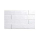 Cepac Tile Chalet 1½X9 Series | Arctic White | CH-11