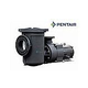 Pentair EQKT500 Commercial TEFC Pool Pump With Strainer | NEMA Rated | 3 Phase | 208-230/460V 5HP | 340604