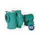 Marlow 4SPC Series Rugged Cast Commercial Pool Pump | 15HP 3-Phase | 200-230/460V | 4SPC15EC | 1CA005
