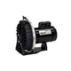 Pentair Waterfall Energy Efficient Pool Pump without Strainer 115-230V AF-180 | 340302