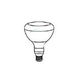 Pentair Floodlamp Medium Base | 100W 12V | 79101800