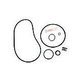 Seal & Gasket Kit for Sta-Rite Max-E-Pro Series Pool Pumps | GO-KIT79