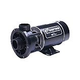 Waterway E Series Spa Pump | 2 Speed 2.0HP 230V 48-Frame Center Discharge | 3420820-15