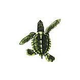 Porcelain Mosaic Turtle Green | Baby 5"x5" | PORC-ST21B