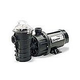 Pentair Dynamo .75HP Above Ground Pool Pump with 3' Cord 115V | 340194