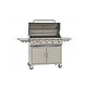 Bull Barbecue Renegade 38" 5-Burner Stainless Steel Propane Barbeque Cart | 32300