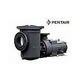 Pentair EQKT750 Commercial TEFC Pool Pump With Strainer | NEMA Rated | 3 Phase | 208-230V/460V 7.5HP | 340605