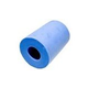 Aqua Products Brush PVA Size 12 | Blue | 2 per Pack | APSP3009A