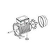 Pentair Boost-Rite Complete Motor Assembly | ZBR39360