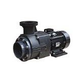 Waterco Hydrostar Plus 15HP Commercial High Performance Pump without Strainer | 3-Phase 208-230/460V | 2461501A