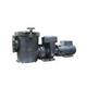 Waterco Hydro5000 15HP Cast Iron Commercial High Performance Pump | 3-Phase 208-230/460V | 19B05002