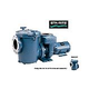 Sta-Rite CSP Series 15HP Nema 3-Phase Cast Iron Pool Pump Without Strainer | 230-460V | CSPHM3-144