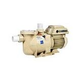 Pentair SuperFlo VST Variable Speed Pump 1.5HP | Almond | 342002
