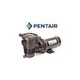 Pentair OptiFlo 1HP Vertical Discharge Above Ground Pool Pump with 25' Cord | EC-348197